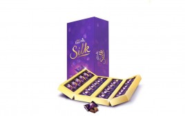 Cadbury Dairy Milk Silk Pralines Collection  Box  240 grams